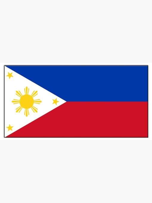 Philippine Flag 3x6 feet